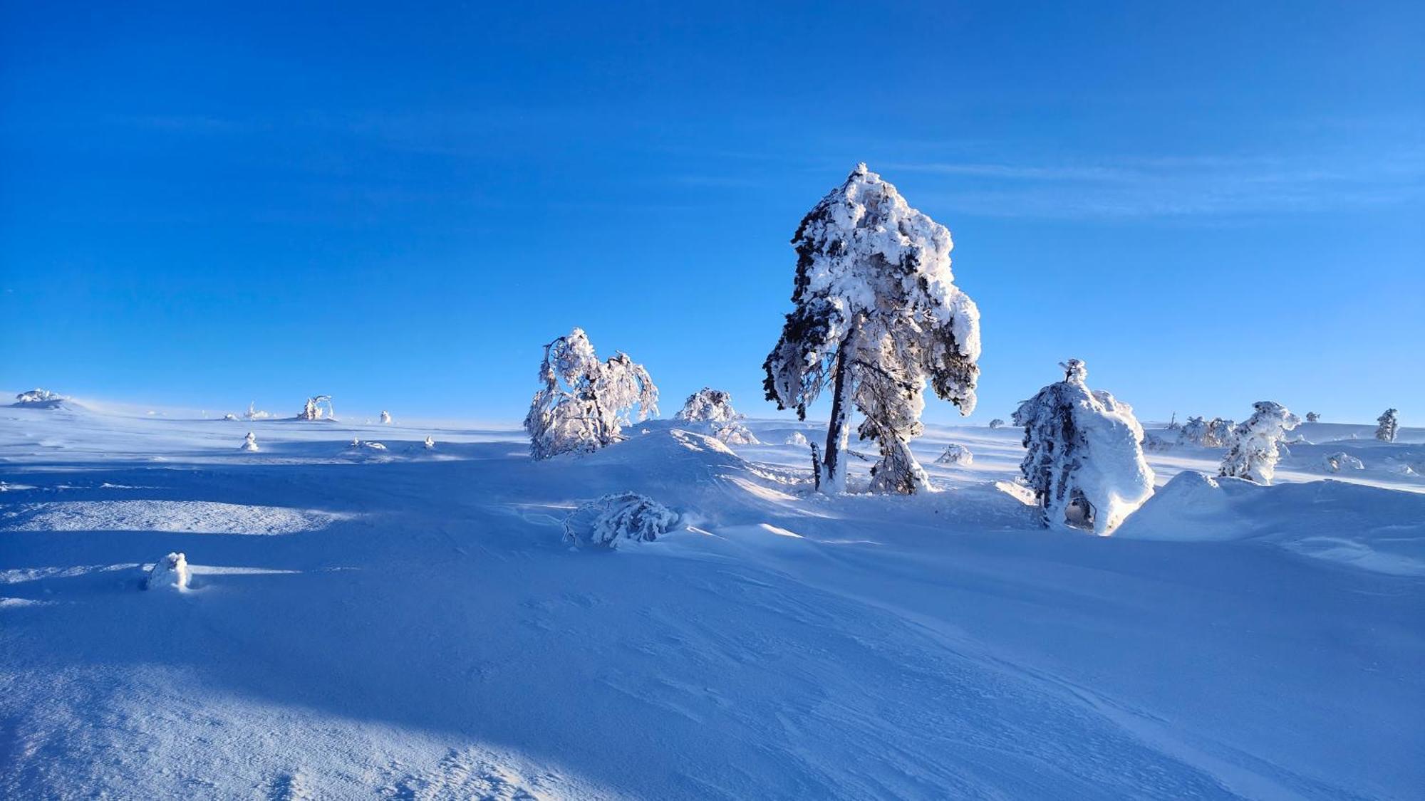 ホテル Fulufjellet Ljørdal エクステリア 写真