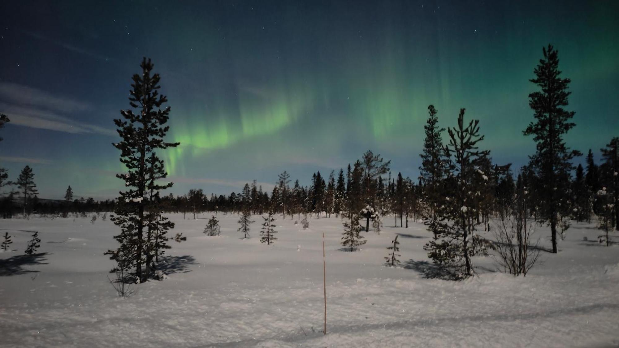 ホテル Fulufjellet Ljørdal エクステリア 写真