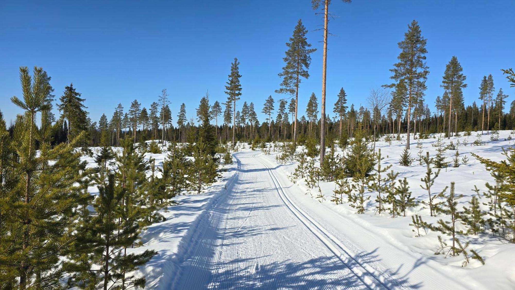ホテル Fulufjellet Ljørdal エクステリア 写真