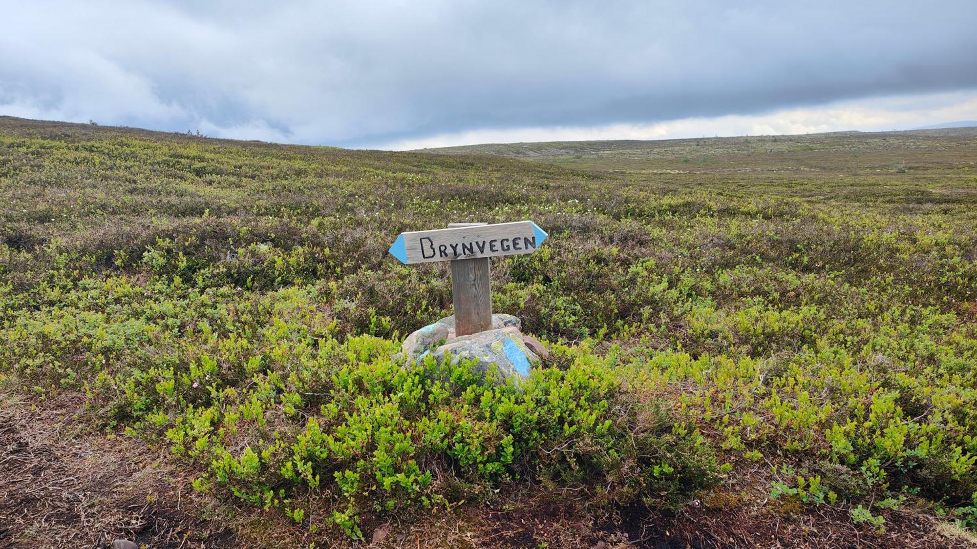 ホテル Fulufjellet Ljørdal エクステリア 写真