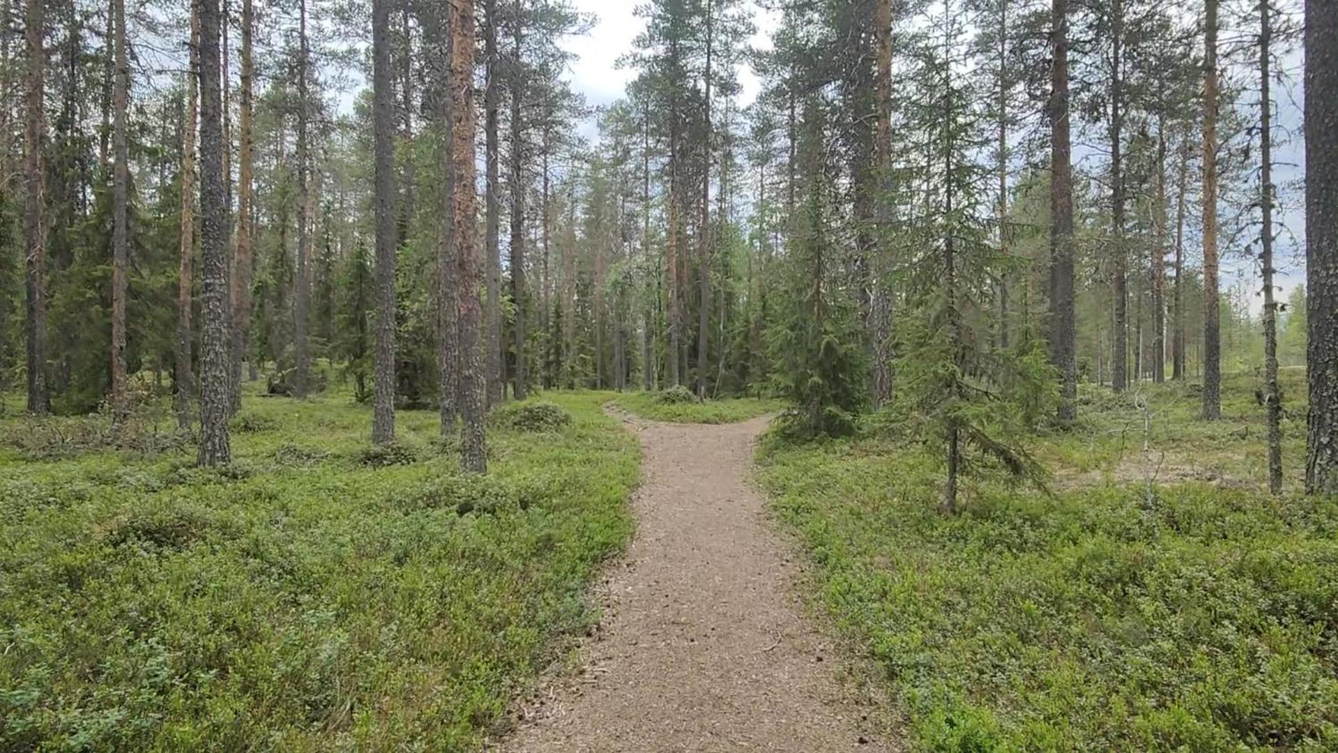 ホテル Fulufjellet Ljørdal エクステリア 写真