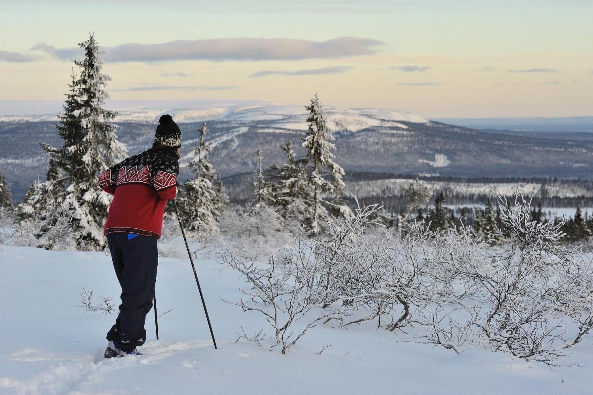 ホテル Fulufjellet Ljørdal エクステリア 写真