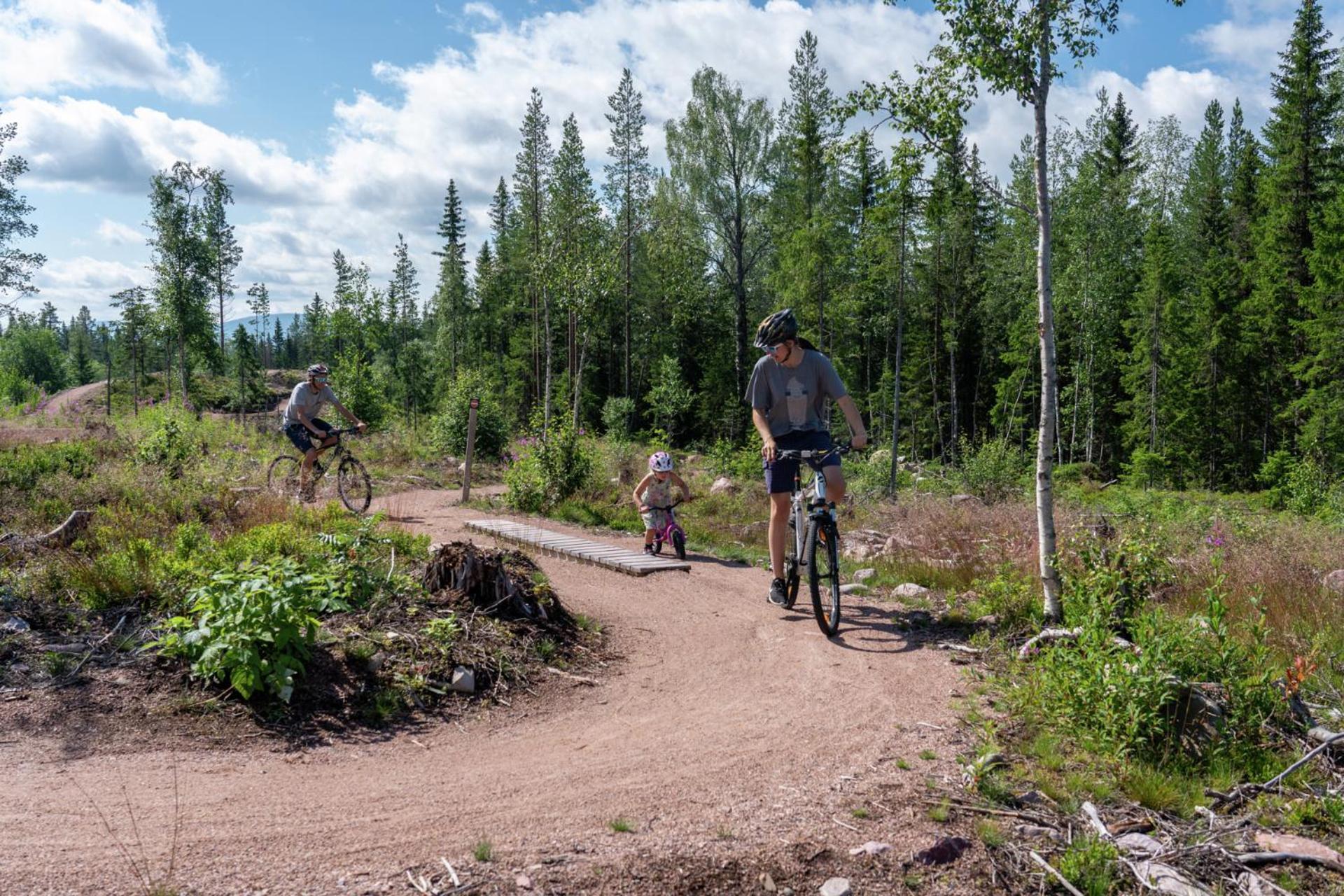 ホテル Fulufjellet Ljørdal エクステリア 写真